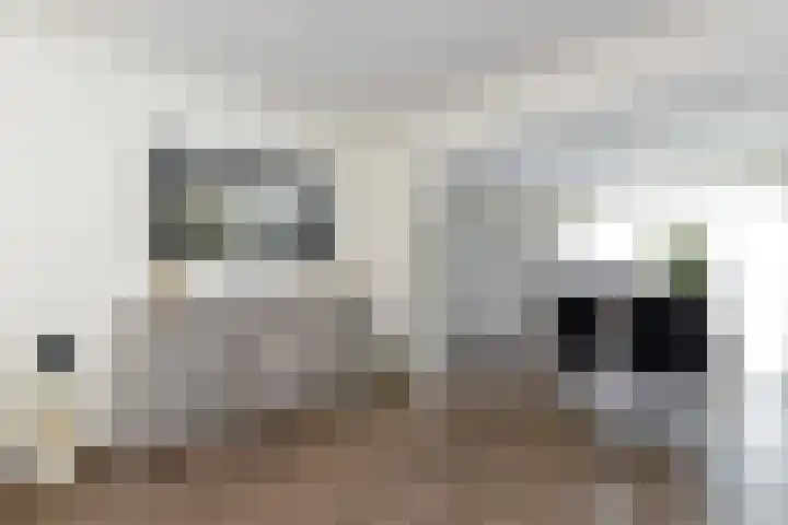 Ureterperend 10 Drachten thumbnail 12