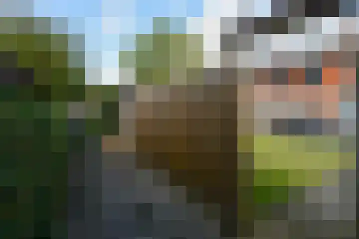Ureterperend 10 Drachten thumbnail 32