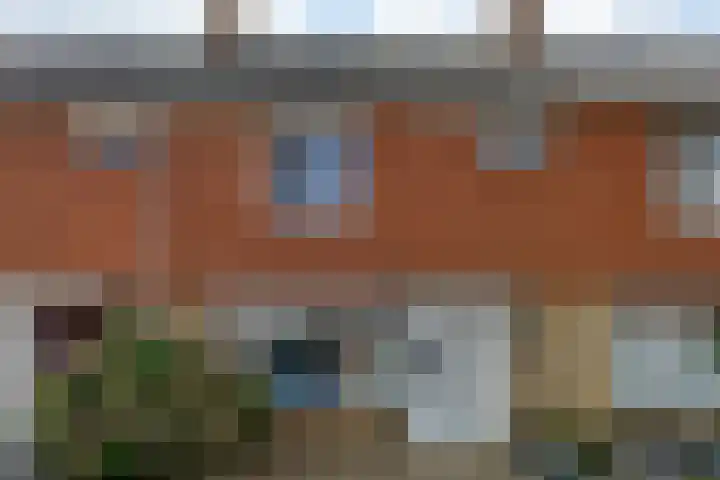 Ureterperend 10 Drachten thumbnail 37
