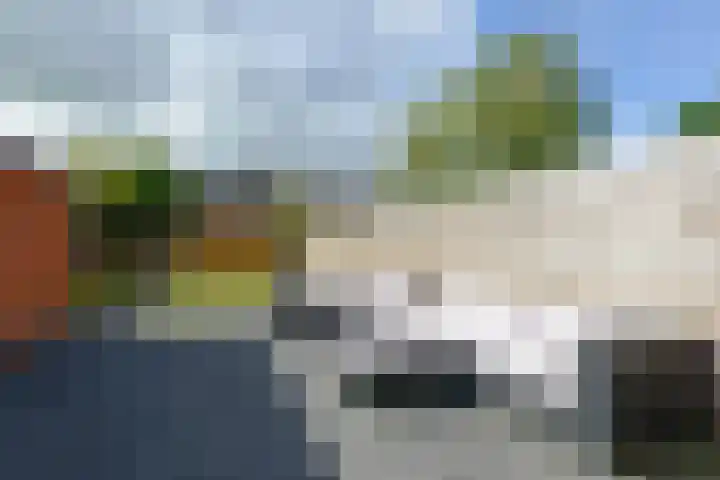 Ureterperend 10 Drachten thumbnail 4