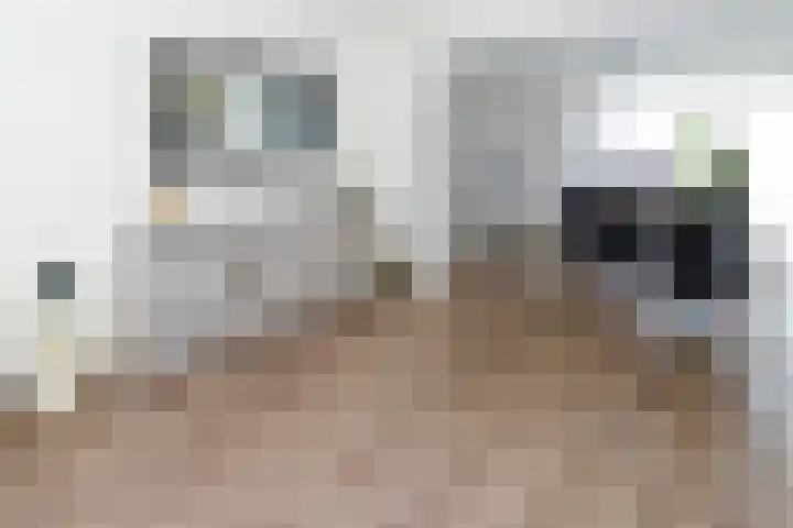 Ureterperend 10 Drachten thumbnail 7