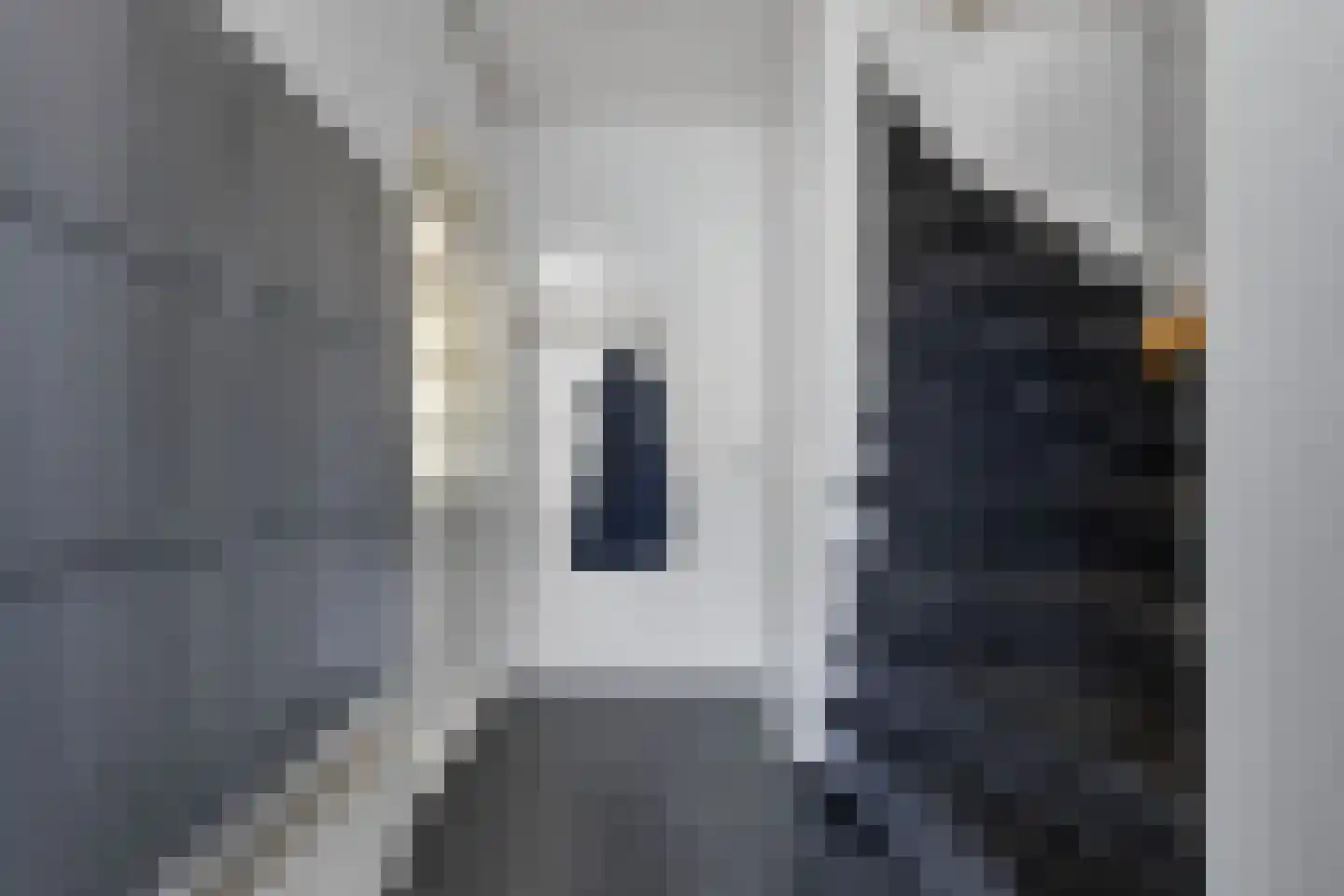 Ureterperend 14 Drachten thumbnail 11