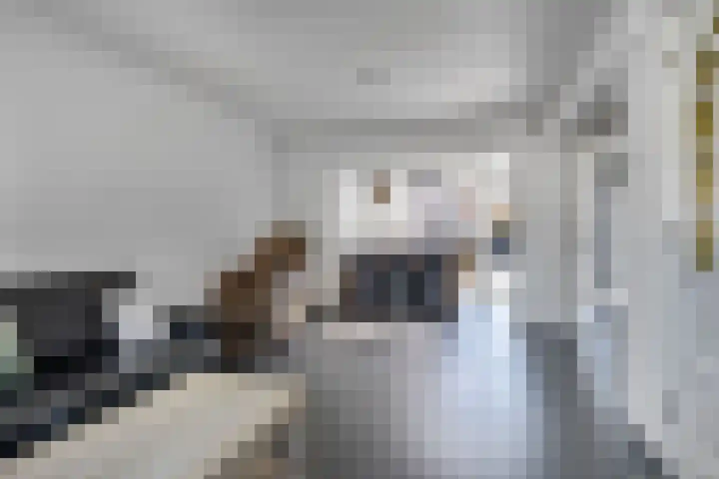 Ureterperend 14 Drachten thumbnail 14