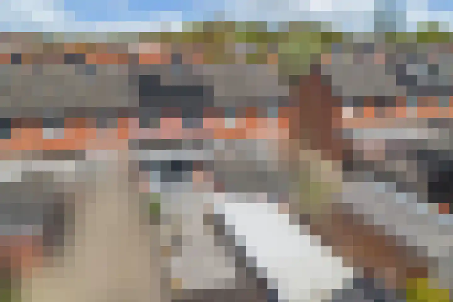 Ureterperend 14 Drachten thumbnail 37