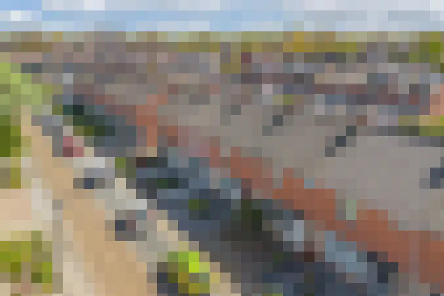 Ureterperend 14 Drachten thumbnail 38