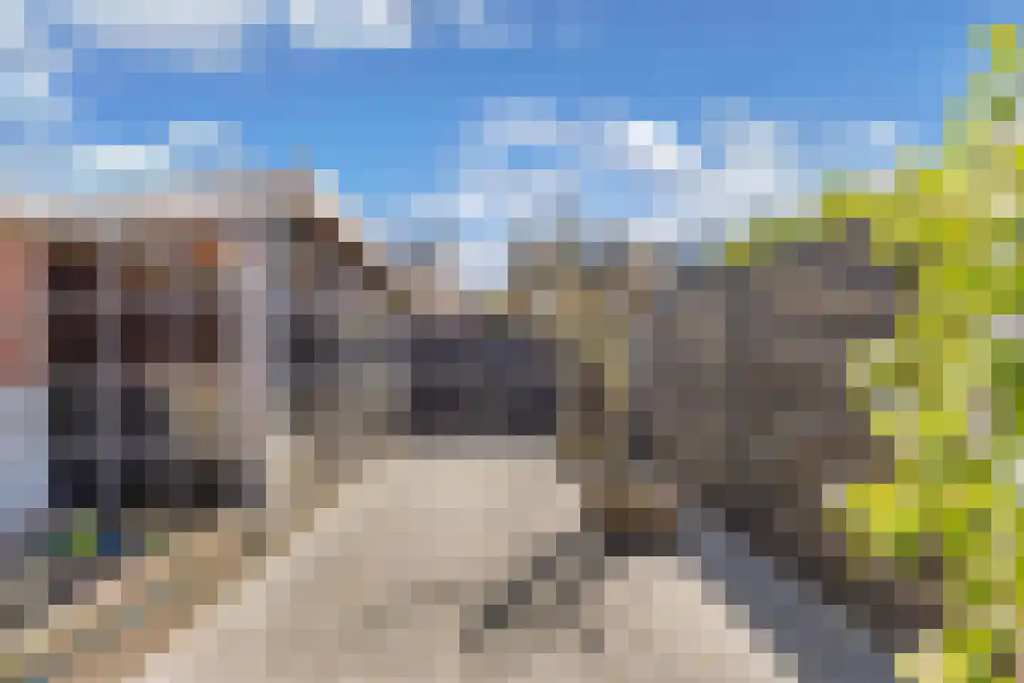 Ureterperend 14 Drachten thumbnail 4