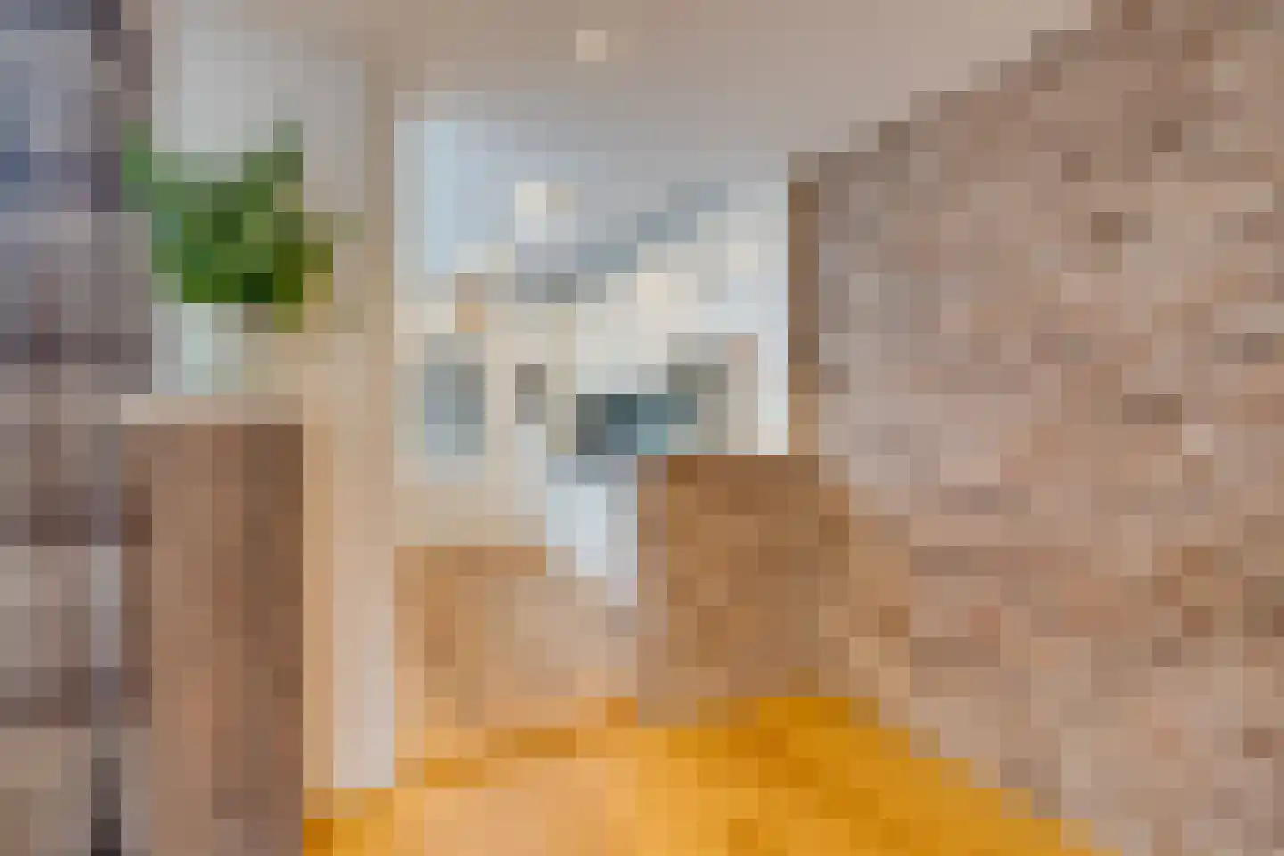 Urkerstraat 3 Volendam thumbnail 23