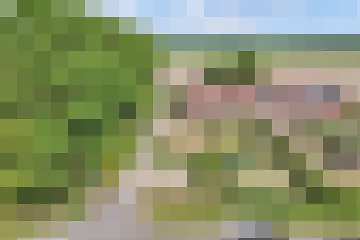 Urkerweg 18 D Emmeloord thumbnail 14