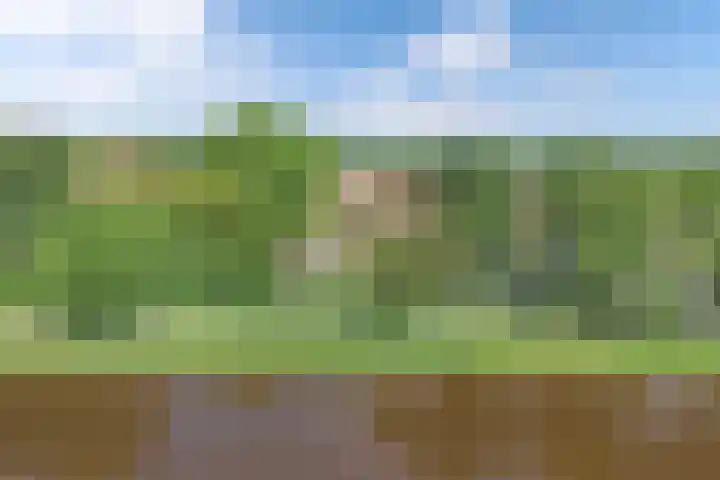 Urkerweg 18 D Emmeloord thumbnail 15