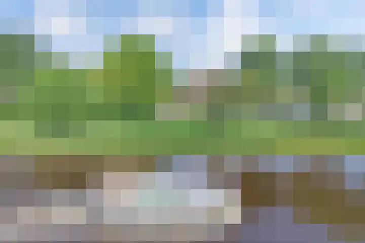 Urkerweg 18 D Emmeloord thumbnail 17