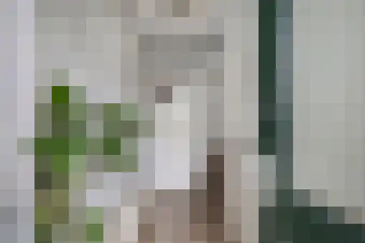 Urkerweg 18 D Emmeloord thumbnail 18