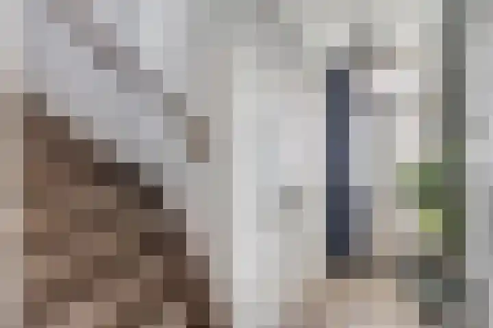 Urkerweg 18 D Emmeloord thumbnail 20