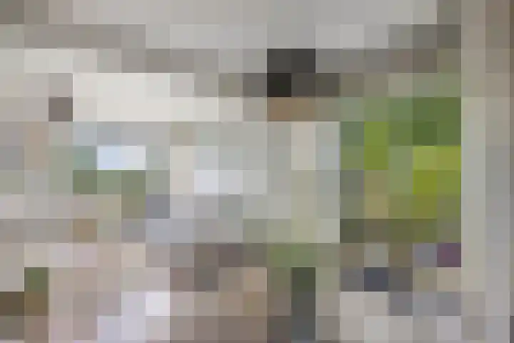 Urkerweg 18 D Emmeloord thumbnail 25