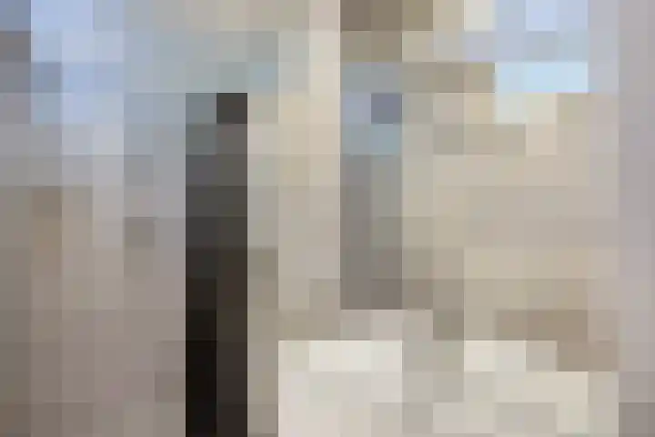 Urkerweg 18 D Emmeloord thumbnail 33