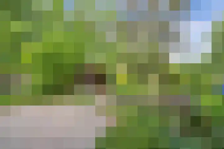 Urkerweg 18 D Emmeloord thumbnail 41