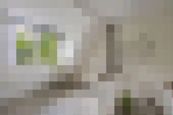 Urkerweg 18 D Emmeloord thumbnail 49