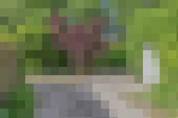 Urkerweg 18 D Emmeloord thumbnail 9