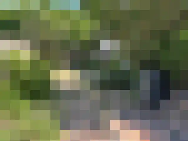 Urkhovenseweg 183 Eindhoven thumbnail 10