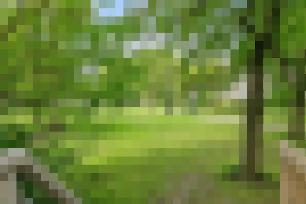 Urkhovenseweg 440 Eindhoven thumbnail 24