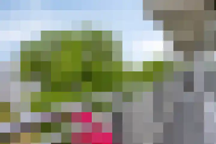 Urkhovenseweg 470 Eindhoven thumbnail 19