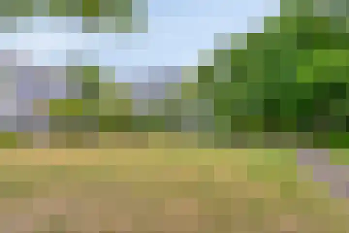 Urkhovenseweg 470 Eindhoven thumbnail 4
