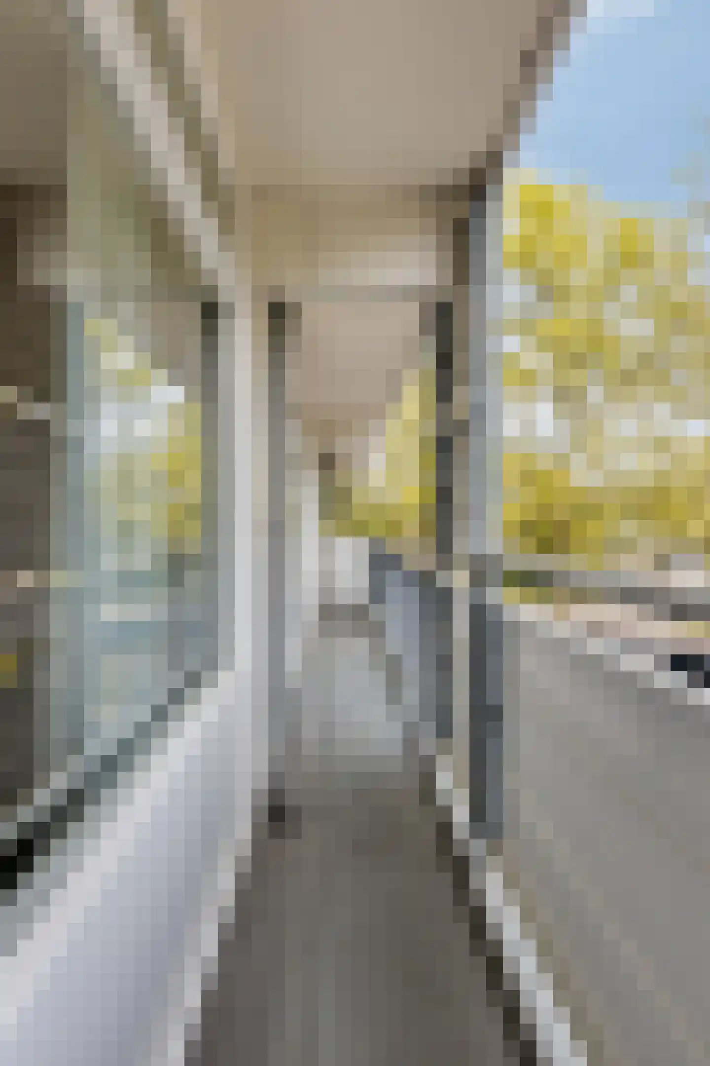 Urkhovenseweg 498 Eindhoven thumbnail 24