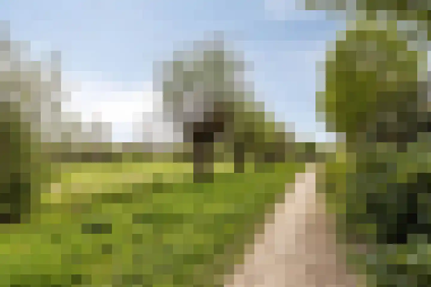 Urkhovenseweg 498 Eindhoven thumbnail 35