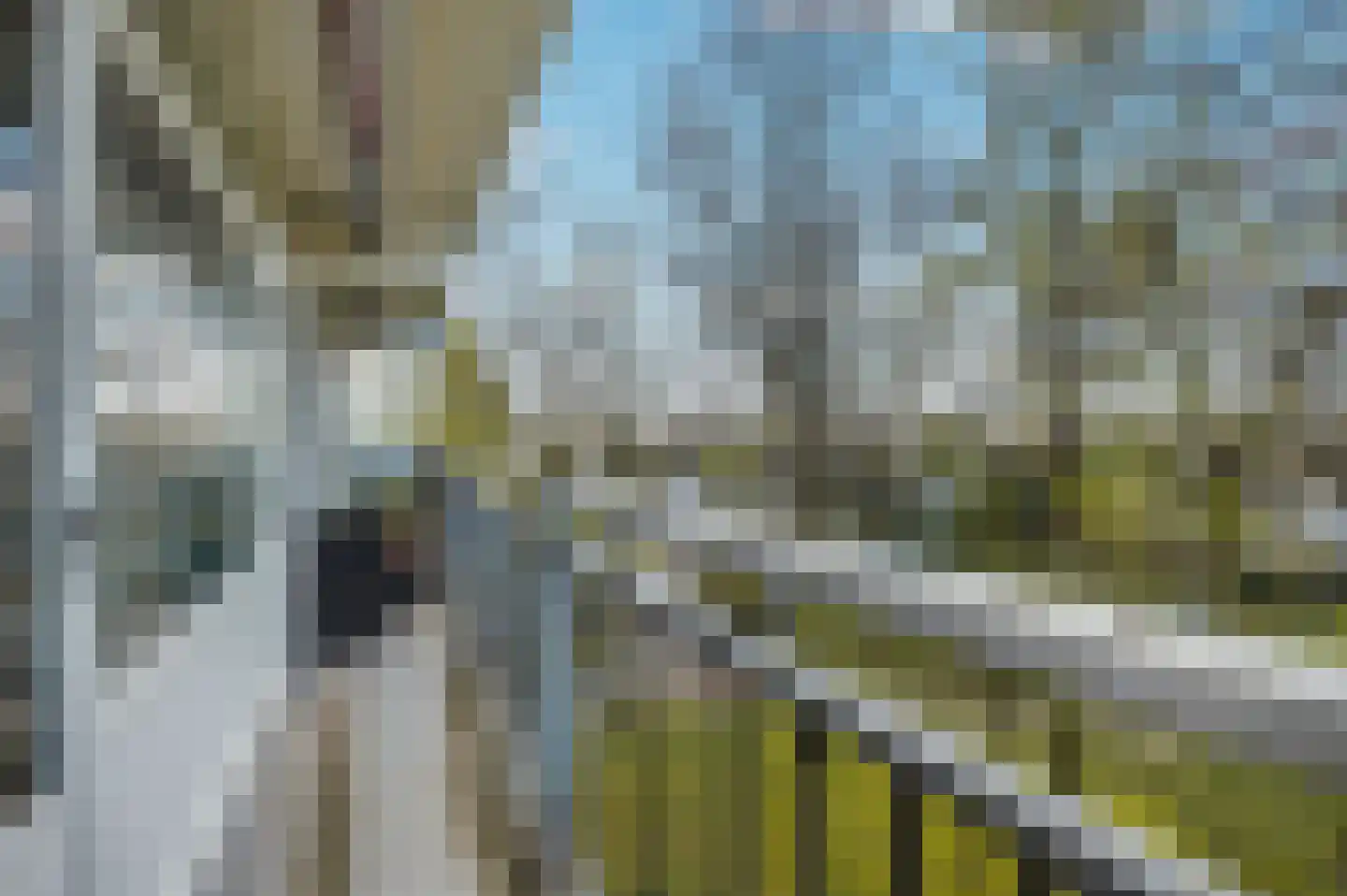 Urkhovenseweg 508 Eindhoven thumbnail 14