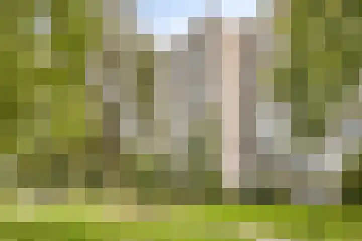 Urkhovenseweg 542 Eindhoven thumbnail 32