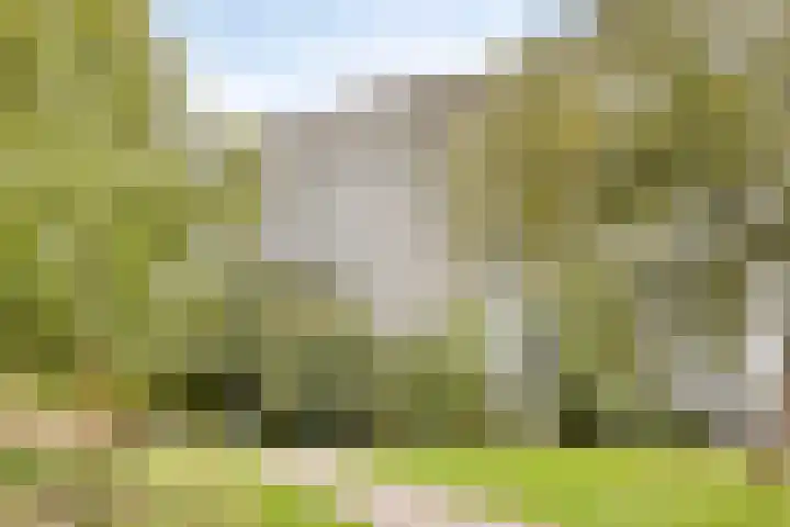 Urkhovenseweg 542 Eindhoven thumbnail 33