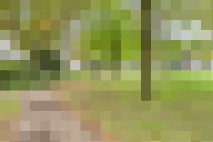 Urkhovenseweg 542 Eindhoven thumbnail 35