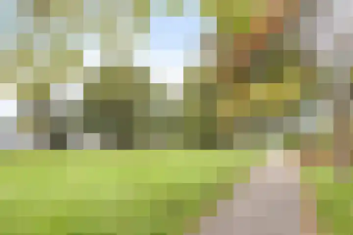 Urkhovenseweg 542 Eindhoven thumbnail 37