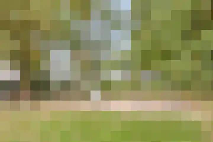 Urkhovenseweg 542 Eindhoven thumbnail 38