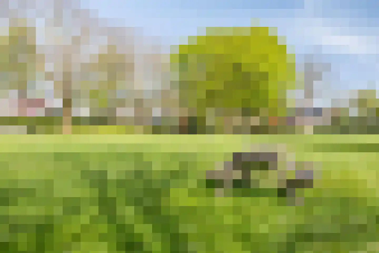 Urkhovenseweg 65 Eindhoven thumbnail 41