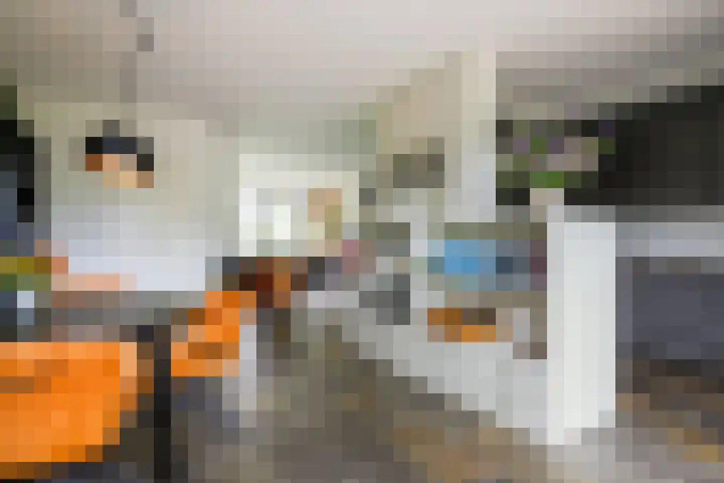 Urkpad 5 Harderwijk thumbnail 12