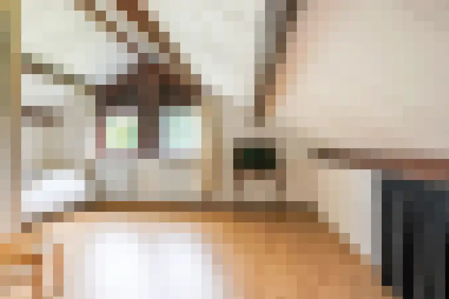 Urkpad 5 Harderwijk thumbnail 31