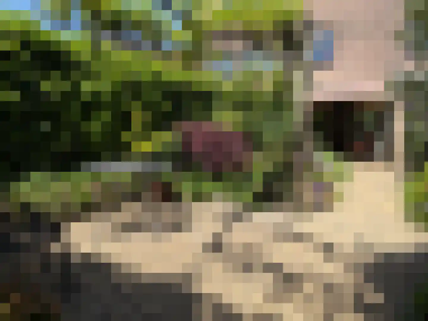 Urkpad 5 Harderwijk thumbnail 34