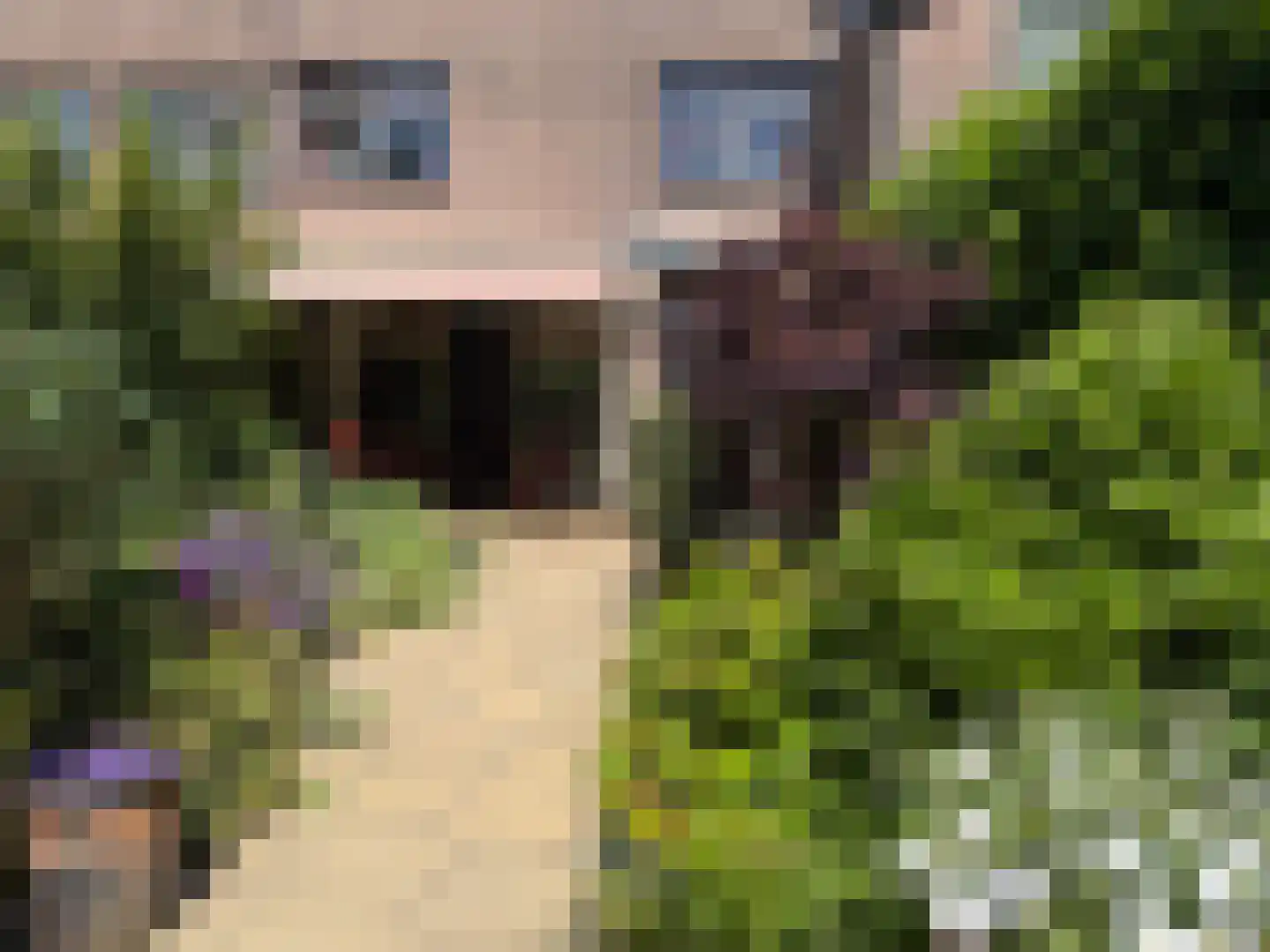 Urkpad 5 Harderwijk thumbnail 35