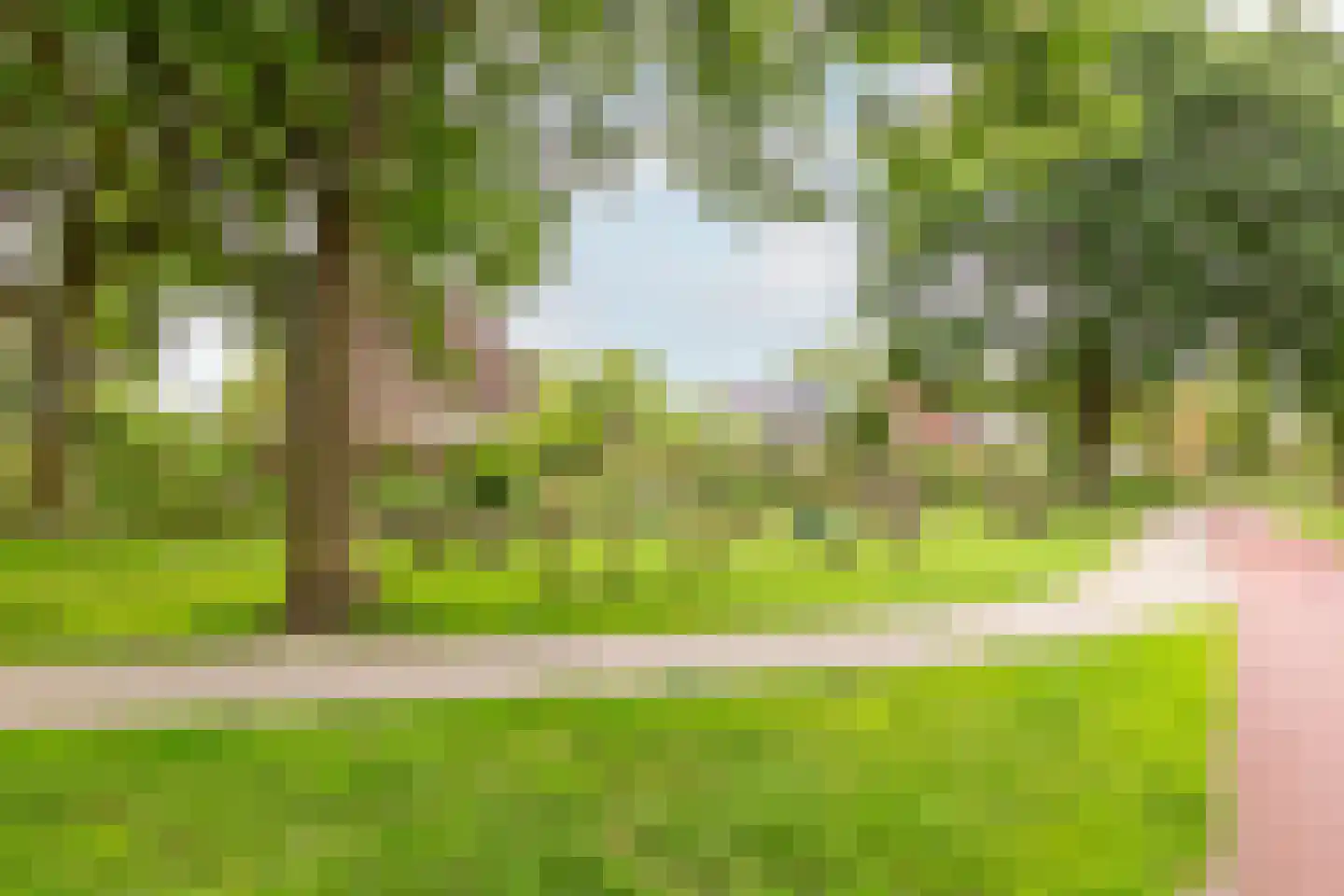 Urkpad 5 Harderwijk thumbnail 39