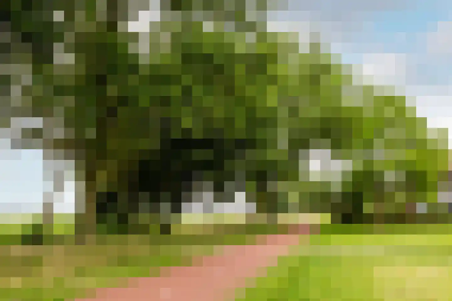 Urkpad 5 Harderwijk thumbnail 41