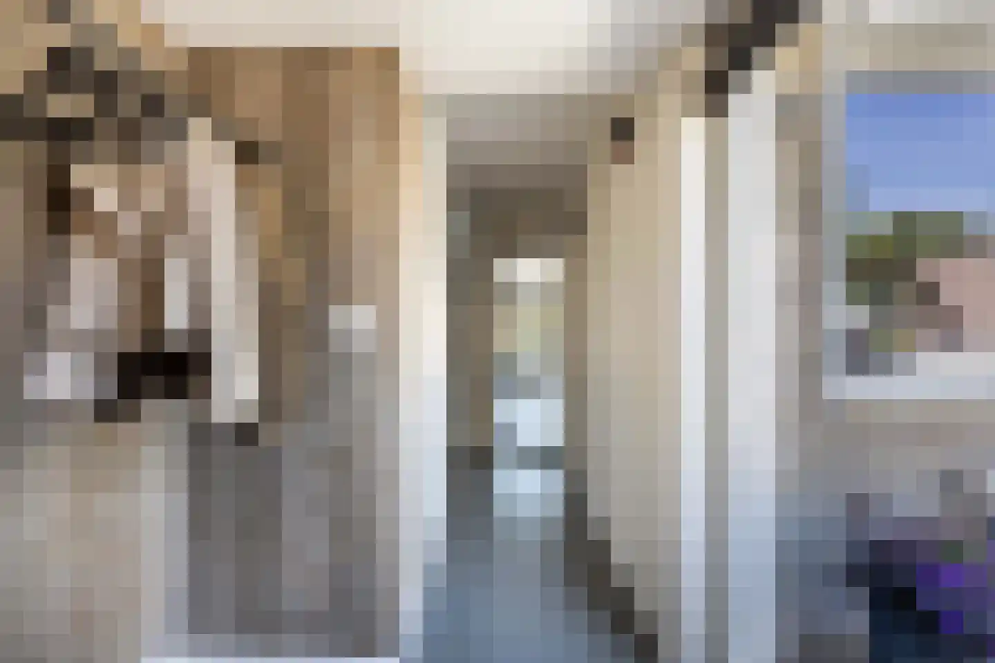 Urkstraat 24 Alkmaar thumbnail 7