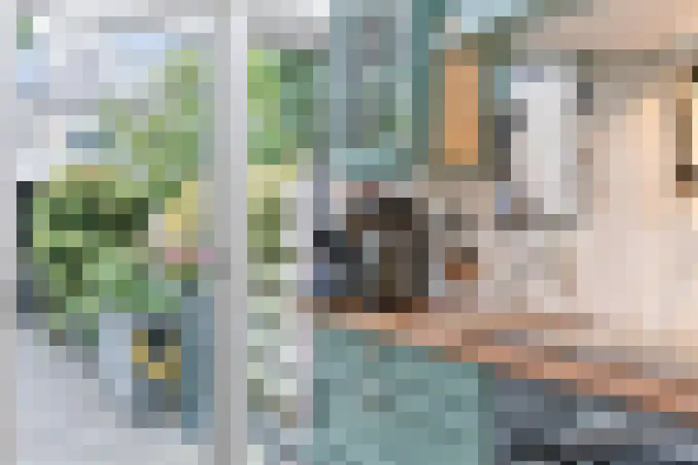 Urkstraat 35 Alkmaar thumbnail 16