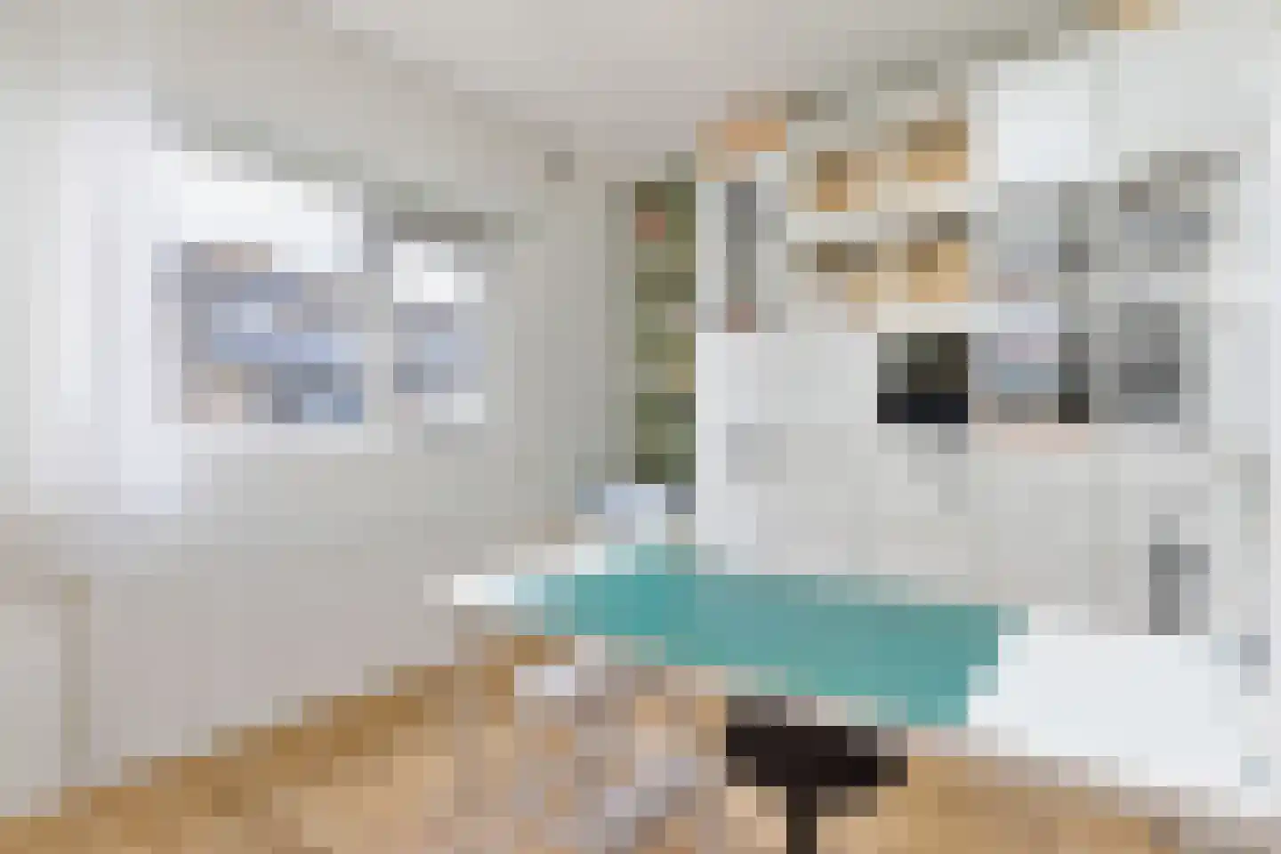 Urkstraat 35 Alkmaar thumbnail 24