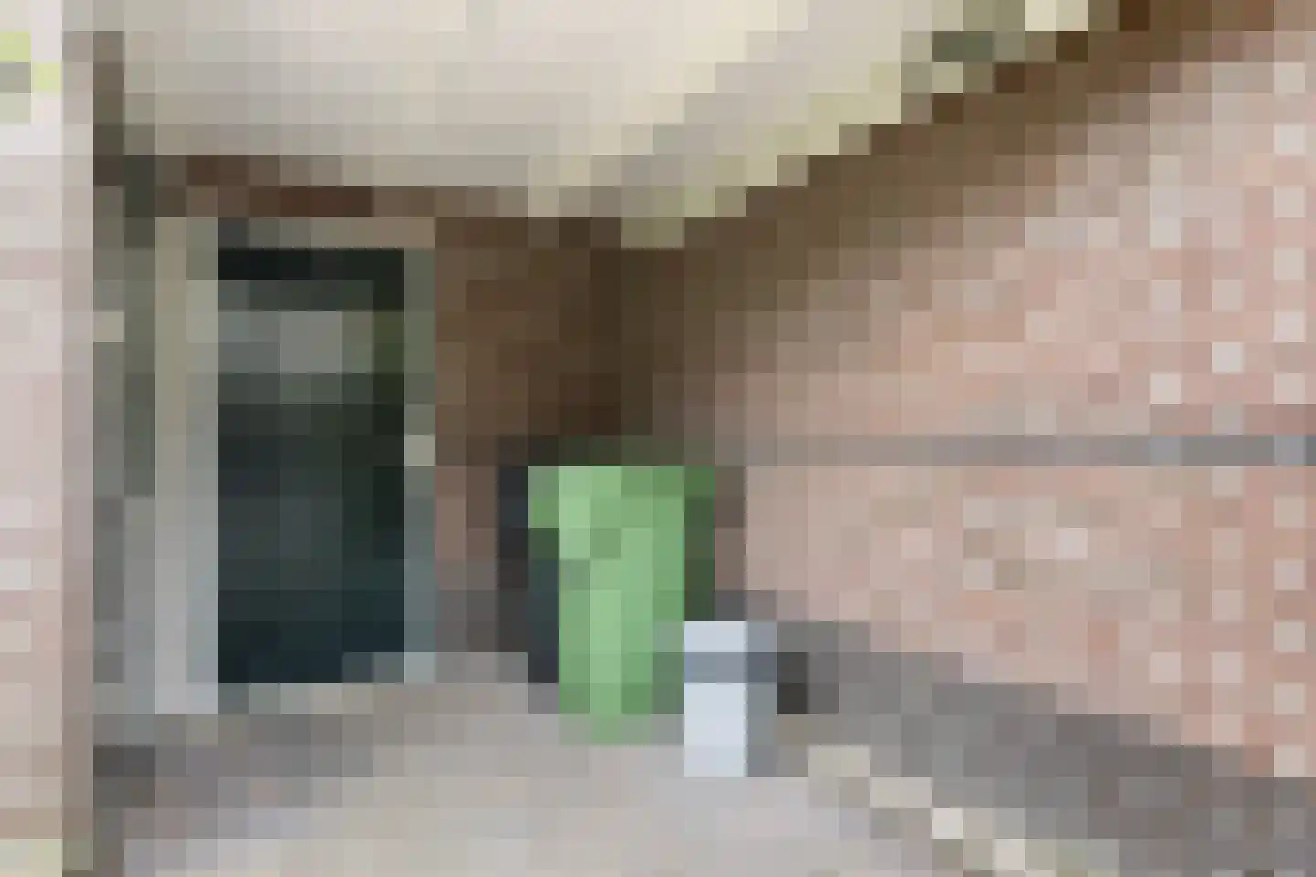 Urkstraat 35 Alkmaar thumbnail 34