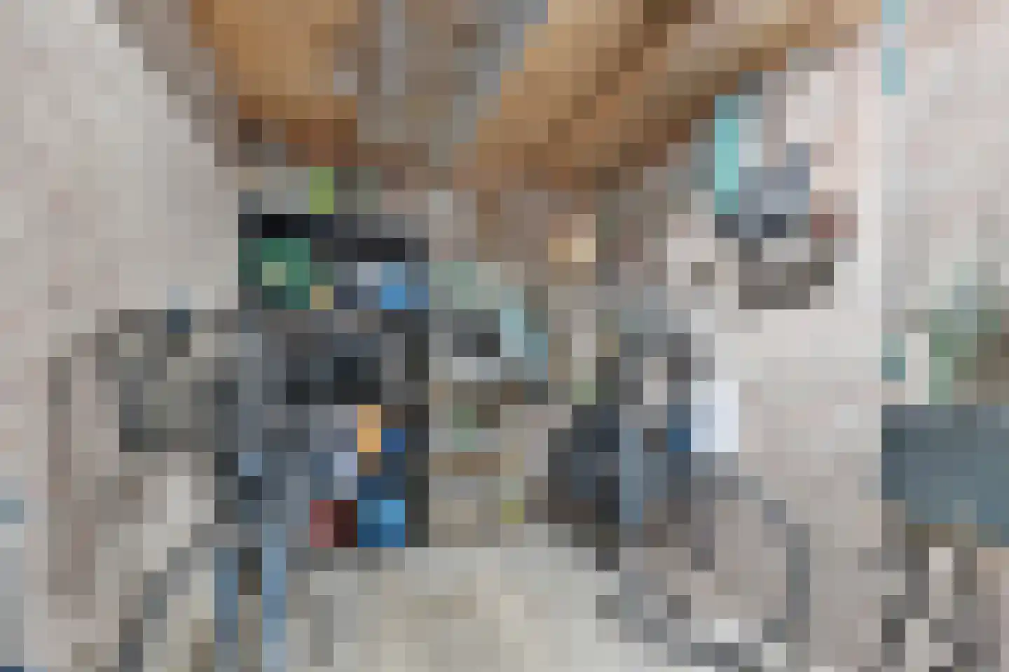 Urkstraat 35 Alkmaar thumbnail 35