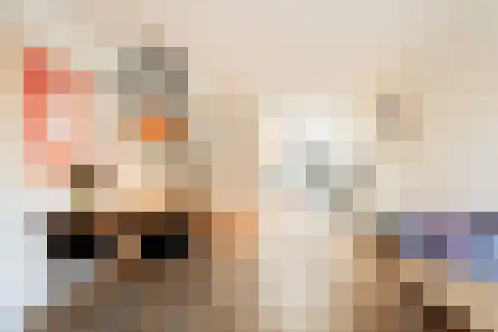 Urkstraat 36 Amsterdam thumbnail 8