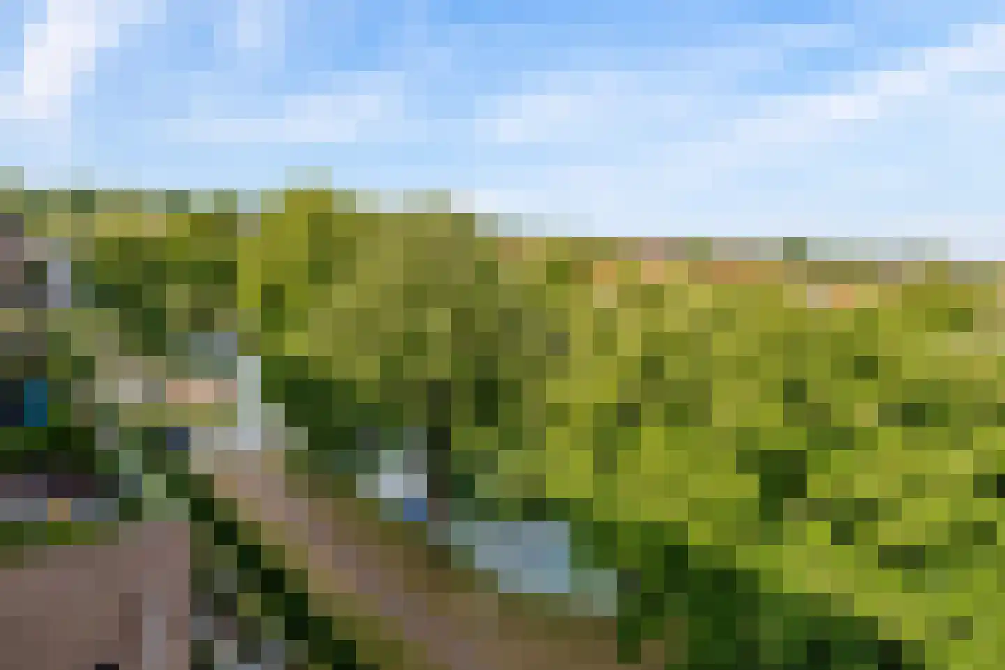 Urkwal 100 Almere thumbnail 22