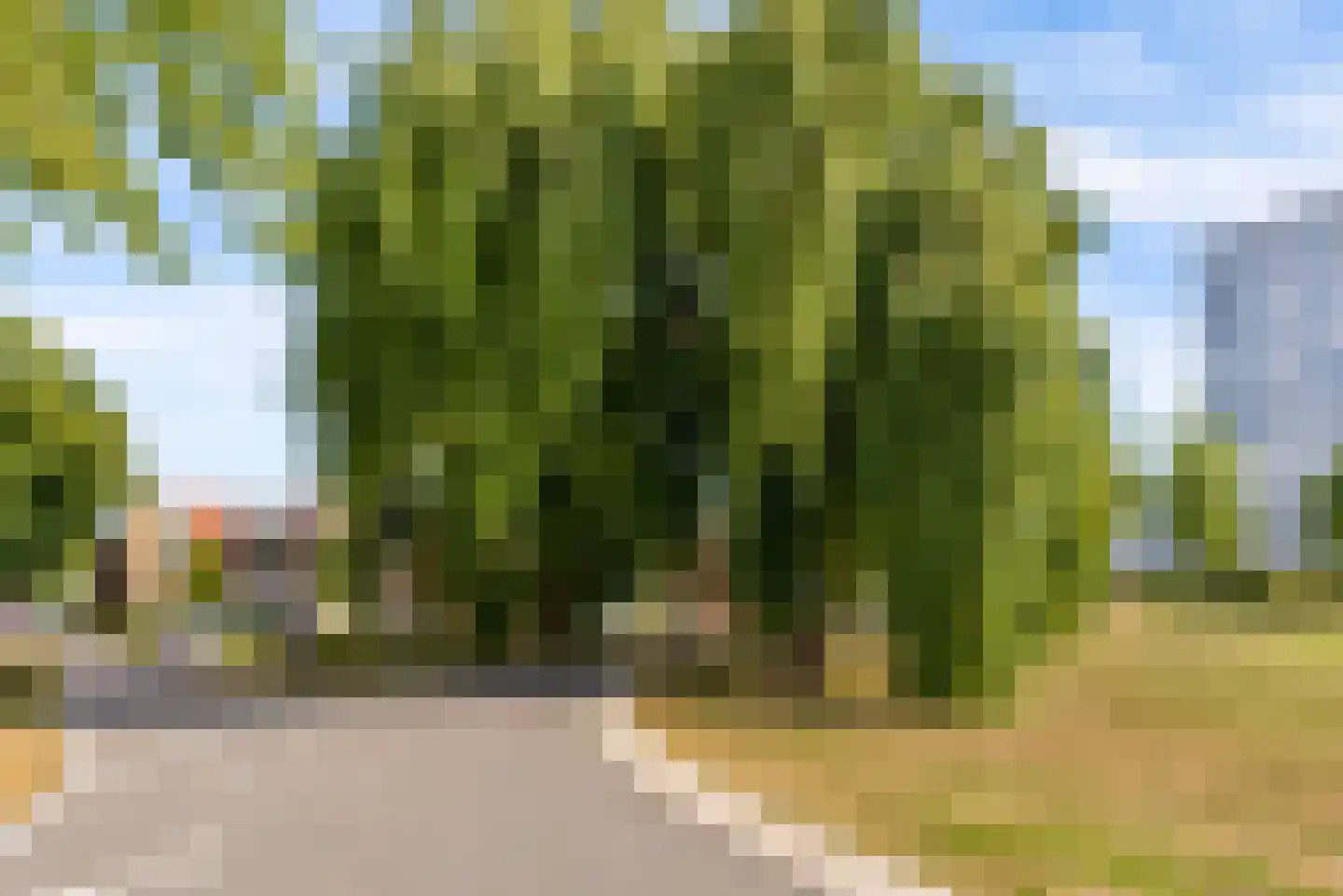 Urkwal 100 Almere thumbnail 36