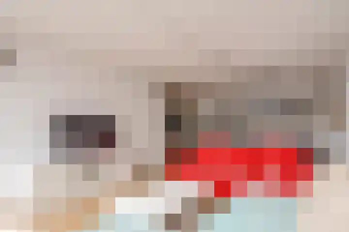 Urkwal 14 Almere thumbnail 16