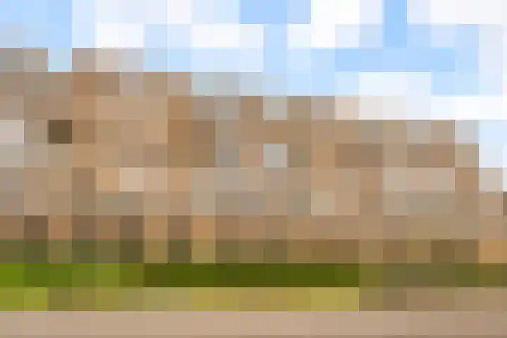 Urkwal 14 Almere thumbnail 43